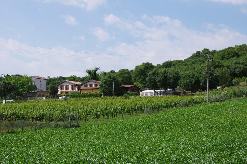Agriturismo Casa Villi Solférino Extérieur photo